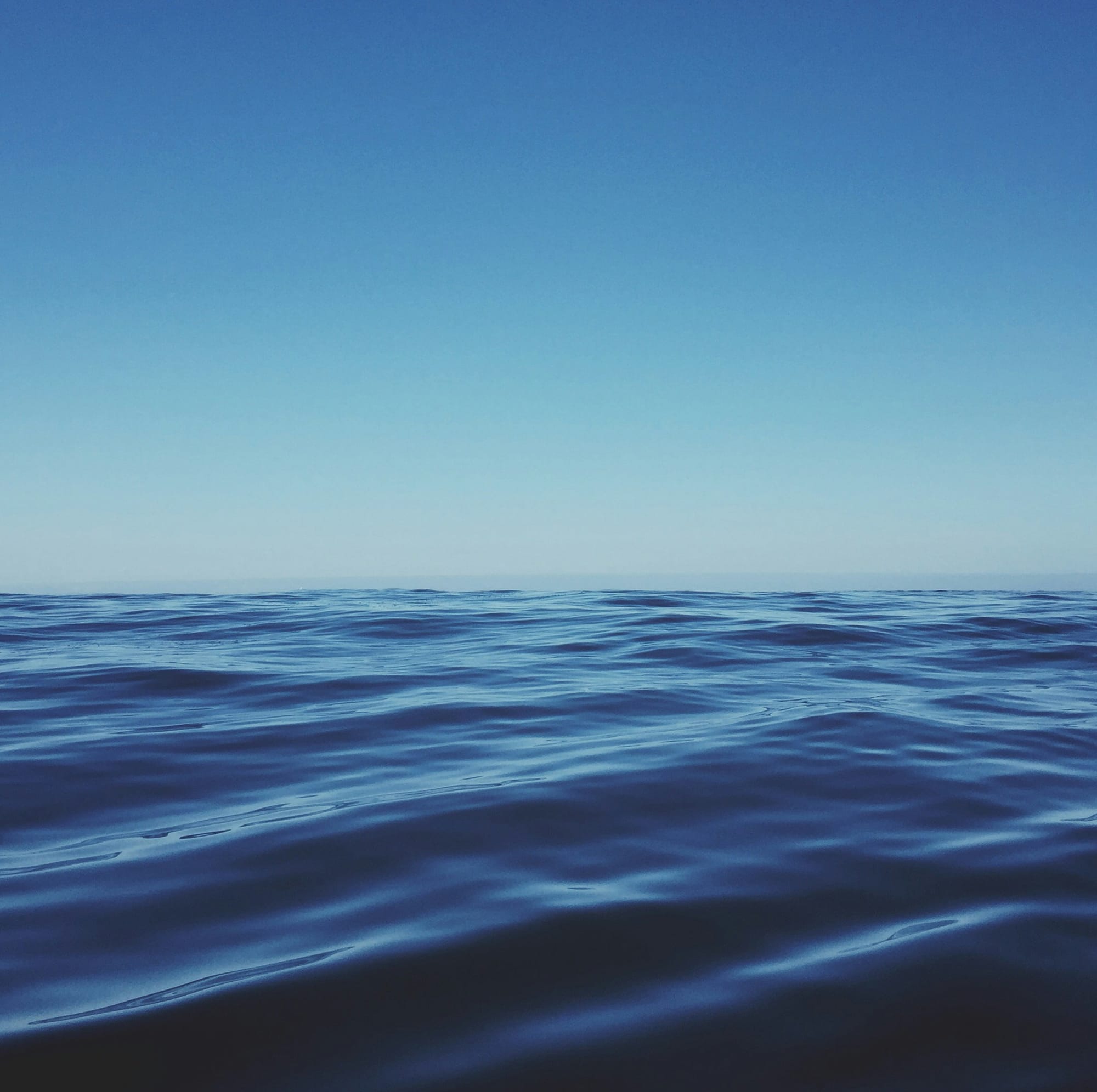 Posts by Robin de la Vega